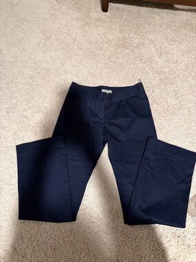 Burberry Navy Pants with Signature Check Waistband